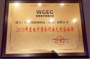 喜訊 中創(chuàng)物聯(lián)網(wǎng)榮獲2018年世界電商大會(huì) 電子商務(wù)行業(yè)先進(jìn)企業(yè)獎(jiǎng)