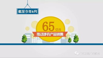 廣西重點建設36個電商進農(nóng)村綜合示范縣 涉農(nóng)產(chǎn)品銷售65億元