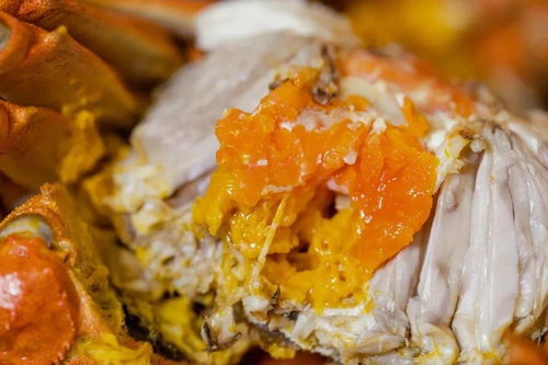 購買崇明優(yōu)品,認準山水標志 崇明世界級生態(tài)島遞出農(nóng)產(chǎn)品名片