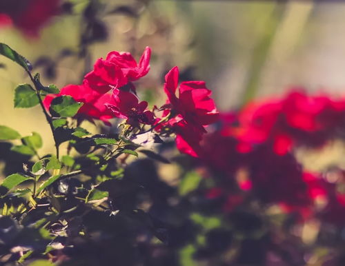 變心之人難免會體現(xiàn)在細節(jié)上,尤其出現(xiàn)第三條,基本坐實